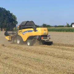 Żółta maszyna rolnicza, kombajn, pracuje na polu. Ubezpieczenie pojazdu wolnobieżnego zapewnia spokój podczas żniw.