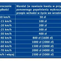 Tabela pokazuje ile czasu na wystawienie mandatu za przekroczenie prędkości. Im większe przekroczenie, tym wyższa kara.