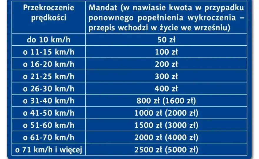 Punkty karne - Jak uniknąć utraty prawa jazdy?