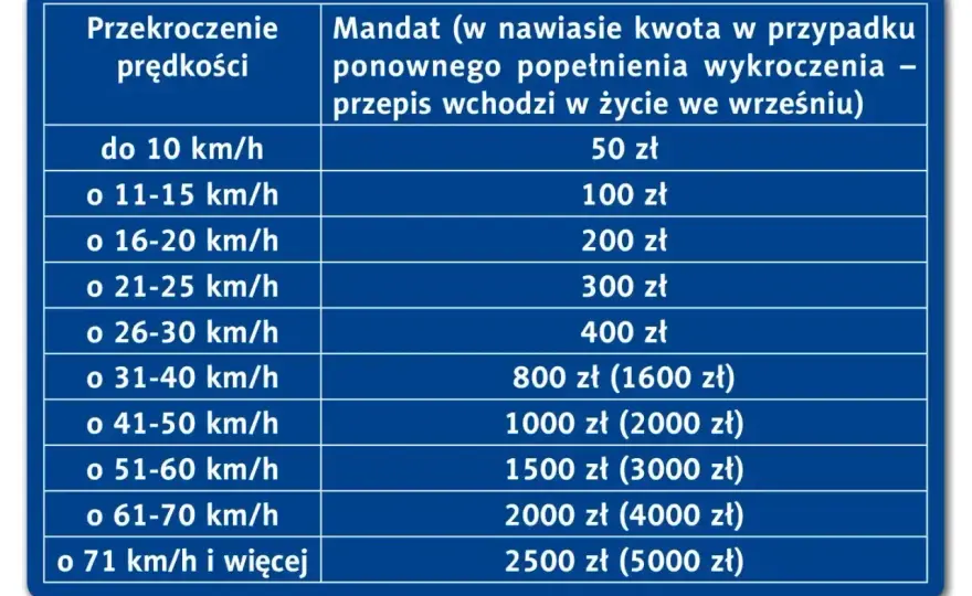 Ile czasu na mandat? 60 dni, 1 rok, 3 lata - Sprawdź!