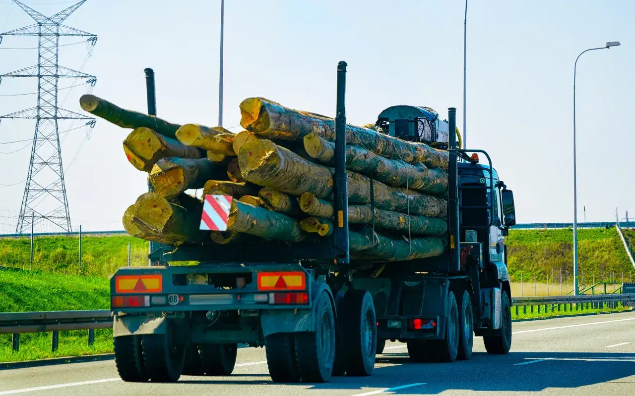 Ciężarówka z drewnem na drodze. Ładunek wystaje z tyłu lawety, ale mieści się w przepisowych granicach.